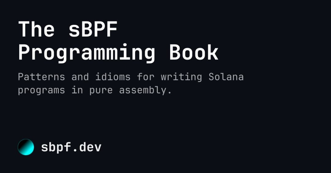 The sBPF Programming Book